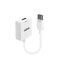 Adapteris - LINDY HDMI į DisplayPort Adapteris, 3840x2160@30Hz, 10.2Gbps, Baltas