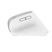 Biuro Pelė - Trust Bayo+ Belaidė Bluetooth Optinė 2400 DPI Dešiniarankė Biuro Pelė - Trust Bayo+ Belaidė Bluetooth Optinė 2400 DPI Dešiniarankė