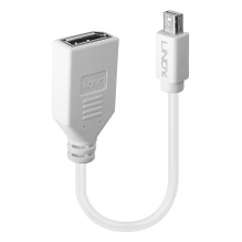 Adapteris - LINDY Mini-DP į...