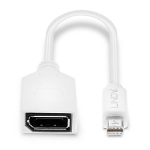 Adapter - LINDY Mini-DP to DP Adapter, M / F, 20 cm, White