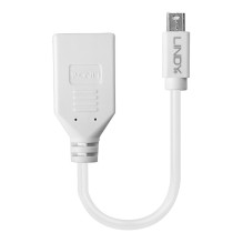 Adapteris - LINDY Mini-DP į DP Adapteris, M / F, 20 cm, Baltas Adapteris - LINDY Mini-DP į DP Adapteris, M / F, 20 cm, Baltas