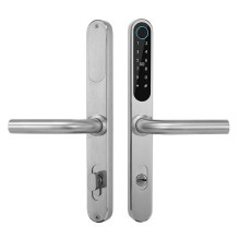 Smart Lock - TTlock Fingerprint Mifare RFID Touch Keypad Bluetooth