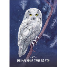 Orakulo Kortų Rinkinys - Seserystė Supratimo 44 Kortos su Knygele 13.5 x 9.7 cm