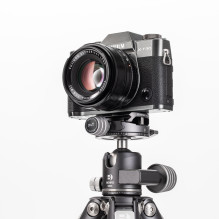 Tripod - Tripod head Benro GX25 ball with PU56 quick release plate
