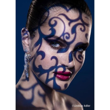 Lighting Accessory - Westcott Gobo Spot Kit by Lindsay Lighting Accessory - Westcott Gobo Spot Kit by Lindsay