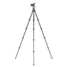 Tripod - Leofoto Ranger LS-254C+LH-30 Carbon fiber, 4 sections, ball head