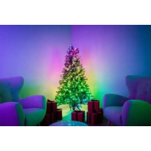 Apšvietimo dekoracija - Twinkly Regal 270 LED RGB Kalėdų eglutės žibintai (Bluetooth, Wi-Fi, vidaus)