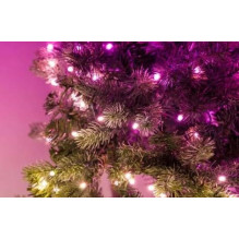 Apšvietimo dekoracija - Twinkly Regal 270 LED RGB Kalėdų eglutės žibintai (Bluetooth, Wi-Fi, vidaus)