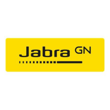 Ausinės - Jabra Evolve 30 II UC Mono (triukšmo slopinimo mikrofonas, odinės pagalvėlės) Ausinės - Jabra Evolve 30 II UC Mono (triukšmo slopinimo mikrofonas, odinės pagalvėlės)