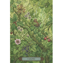 Orakulo kortų rinkinys - Llewellyn Forest of Enchantment Oracle Cards 40 Cards Orakulo kortų rinkinys - Llewellyn Forest of Enchantment Oracle Cards 40 Cards