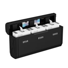 Charger - Telesin S0-ECB-12-TGP 3-channel USB charger with 2 batteries Charger - Telesin S0-ECB-12-TGP 3-channel USB charger with 2 batteries