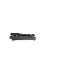 Keyboard - Cherry MX 8.2 TKL Wireless (Cherry, G80-3882LXADE-2, RGB, USB-C) Keyboard - Cherry MX 8.2 TKL Wireless (Cherry, G80-3882LXADE-2, RGB, USB-C)