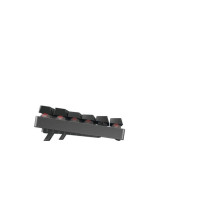 Keyboard - Cherry MX 8.2 TKL Wireless (Cherry, G80-3882LXADE-2, RGB, USB-C) Keyboard - Cherry MX 8.2 TKL Wireless (Cherry, G80-3882LXADE-2, RGB, USB-C)