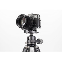 Stand - Benro Tortoise 24C + GX30 (carbon fiber, 30.86 lb capacity) Stand - Benro Tortoise 24C + GX30 (carbon fiber, 30.86 lb capacity)