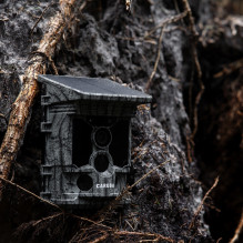 Kameros - Caruba Wildcamera Raccoon Solar 4K, 46MP, WiFi, 32GB