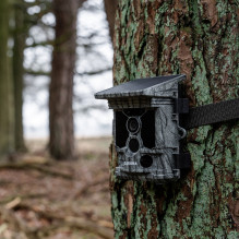 Cameras - Caruba Wildcamera Raccoon Solar 4K, 46MP, WiFi, 32GB