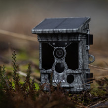 Cameras - Caruba Wildcamera Raccoon Solar 4K, 46MP, WiFi, 32GB