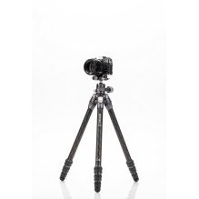 Stand - Benro Tortoise 14C Portable Stand Adjustable Legs Quick Release Plate