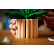 Constructor - LEGO BOTANICALS 11504 Peace Lily (Lego, 474 pieces, 300 mm height) Constructor - LEGO BOTANICALS 11504 Peace Lily (Lego, 474 pieces, 300 mm height)