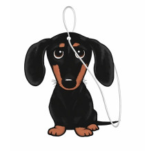 Odor neutralizer - PAKA ZWIERZAKA Car air freshener 10g