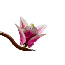 Constructor - LEGO Botanicals 11510 Magnolia Branches (Lego, 435 pcs, 440x390x110 mm) Constructor - LEGO Botanicals 11510 Magnolia Branches (Lego, 435 pcs, 440x390x110 mm)