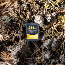 Memory Card - Wise 256GB SDXC UHS II V90 290MB/s Read 260MB/s Write