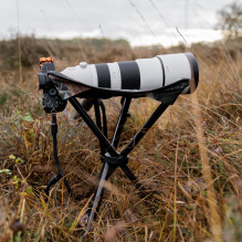 Outdoor Furniture - Caruba Camouflage Folding Chair 100kg Capacity 60cm