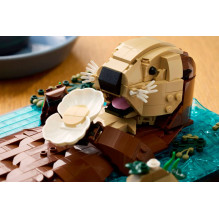 Konstruktorius - LEGO Ideas 21366 Floating Sea Otters (Lego, 1234 vnt., 80x300x190 mm) Konstruktorius - LEGO Ideas 21366 Floating Sea Otters (Lego, 1234 vnt., 80x300x190 mm)