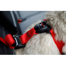 Pet harness - ZOLUX Travel Safe S, adjustable, neck 30-55 cm, red Pet harness - ZOLUX Travel Safe S, adjustable, neck 30-55 cm, red