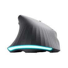 Žaidimų pelė - Trust GXT 145 Rexxa 12800 DPI USB Type-A Wired RGB