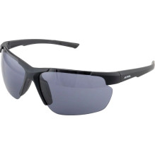 Sports sunglasses - ALPINA DEFEY HR Lightweight half-frame black matte