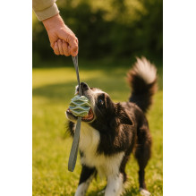 Animal toy - ZOLUX ball TPR outdoor durable with treat hole blue Animal toy - ZOLUX ball TPR outdoor durable with treat hole blue
