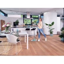 Floor Mop Set - Leifheit 52120 Blue, Green Floor Mop Set - Leifheit 52120 Blue, Green