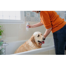 Gyvūnų priežiūra - VIRBAC Allerderm Sensitive Skin Shampoo for Dogs and Cats 250ml