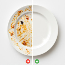 Dishwashing liquid - Frischer dishwashing liquid 500 ml mint scent