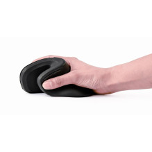 MOUSE USB OPTICAL WRL BLACK / ERGONOMIC MUSW-ERGO-03 GEMBIRD MOUSE USB OPTICAL WRL BLACK / ERGONOMIC MUSW-ERGO-03 GEMBIRD