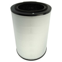 Combination filter (HEPA +...