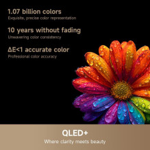 TV Set, DREAME, 55 ", 4K Ultra HD, 3840 x 2160 pixels, Flat, 16:9, QLED, 55S100