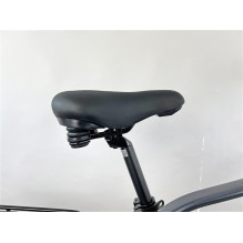 Electric bicycle Succhi, 54 cm, 28", 250 W