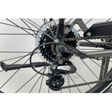 Electric bicycle Succhi, 28", 250 W