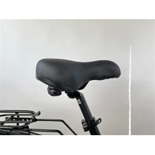 Electric bicycle Succhi, 28", 250 W