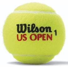 Teniso kamuoliukai Wilson US Open WRT116200 4vnt