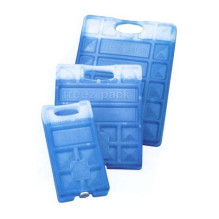 Šaldomasis įdėklas...