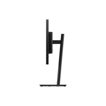 Monitorius - Lenovo ThinkVision T24-40 24" FHD IPS 1920x1080 99% sRGB