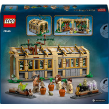 Constructor LEGO® Harry Potter Hogwarts™: Herbology Class