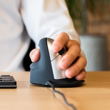 MOUSE USB OPTICAL BREAK / L. BLACK RGOHELELA R-GO TOOLS