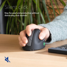 MOUSE USB OPTICAL BREAK / BLACK RGOHBRSWLBL R-GO TOOLS