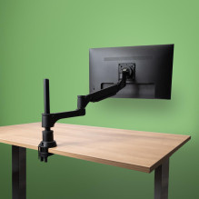 MONITOR ACC ARM CAPARO SINGLE / RGOVLCA4SI R-GO TOOLS