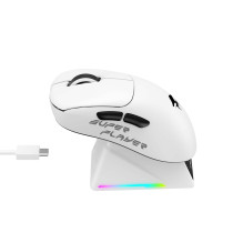 Žaidimų Pelė - Havit StarBlaze-1 26000 DPI 6 Mygtukai Bevielė 400mAh Juoda / Balta Žaidimų Pelė - Havit StarBlaze-1 26000 DPI 6 Mygtukai Bevielė 400mAh Juoda / Balta