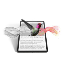 Lenovo Idea Tab Pro Mediatek 128 GB 32.3 cm (12.7") 8 GB Wi-Fi 6E (802.11ax) Android 14 Grey